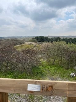 Black Diamond Stormline Stretch Full Zip Rain Pants - Waterproof Trousers -Outdoor Apparel Sale Shop black diamond stormline stretch full zip rain pants regenbroek 538d5176b66396ed75a8dfc62876366c 1