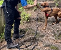 Halti Pallas X-Stretch Lite Zip-Off Pants - Zip-off Trousers 7 Halti Pallas X-Stretch Lite Zip-Off Pants - Zip-off Trousers -Outdoor Apparel Sale Shop halti pallas x stretch lite zip off pants zip off hose 98dba1df51b44ea04d61a3a3dd590d77 1